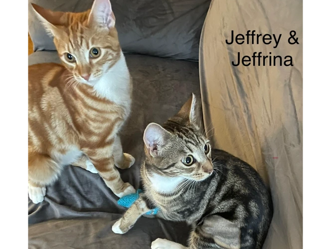 Jeffrey & Jeffrina