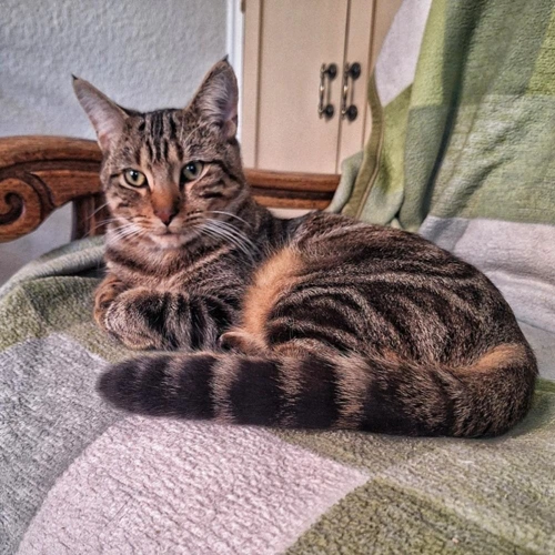 Henri