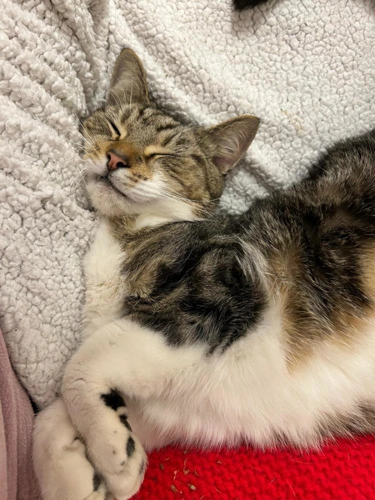 Chloe