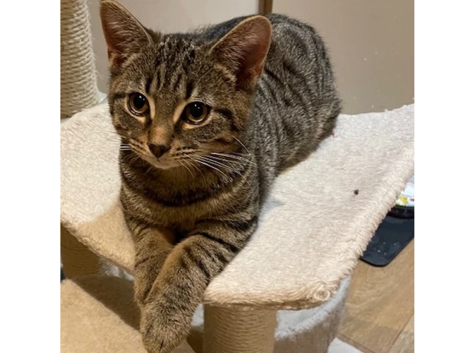 Colin ( see also Cilla & Caitlin)