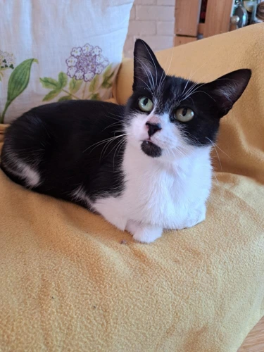 Lily Philip and Clara