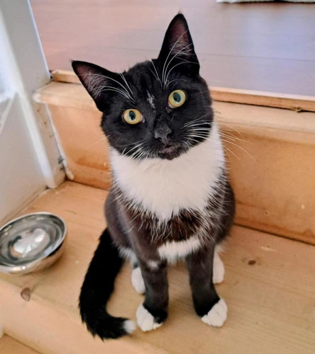 Phillip Lily and Clara