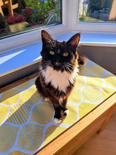 Clara Philip and Lily