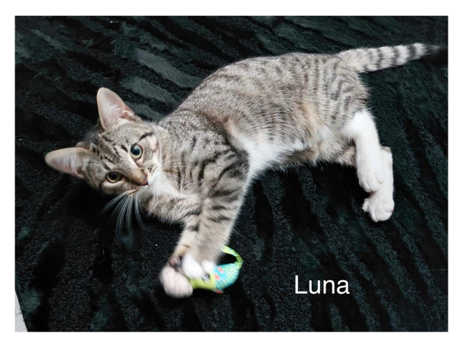 Fiona and Luna