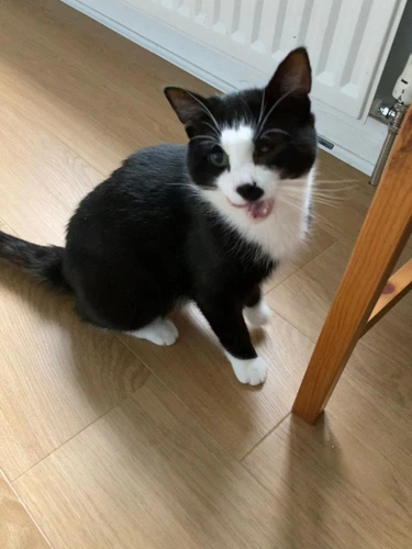 Rico