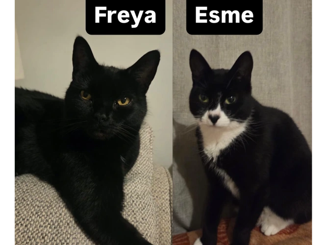 Freya and Esme