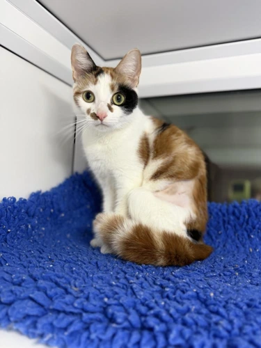 Pinky and Tinkerbell