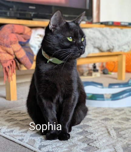 Sophia