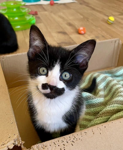 Humphrey and Charlie