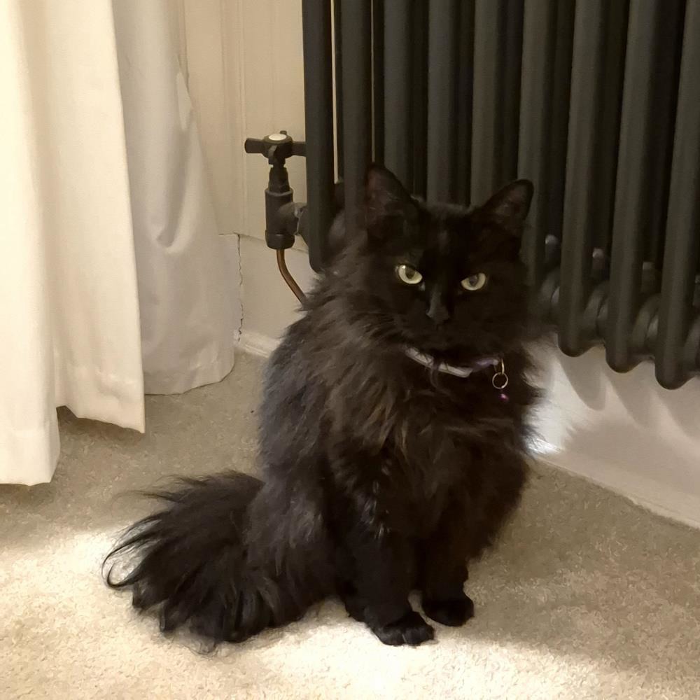 Onyx
