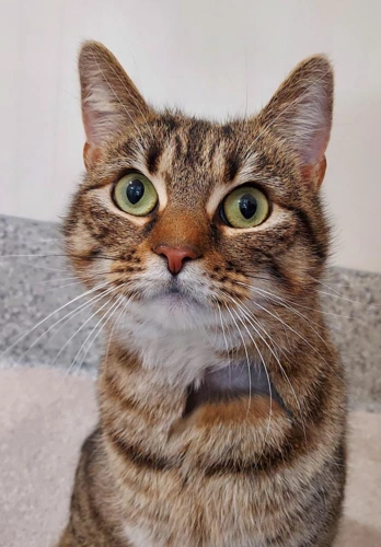 Kiki