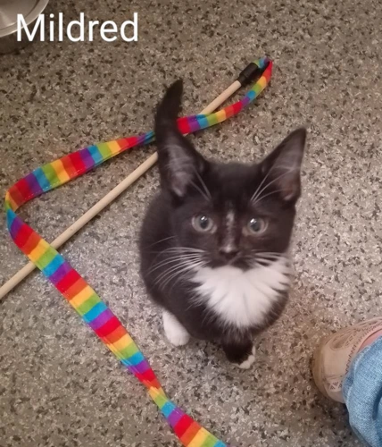 Mildred