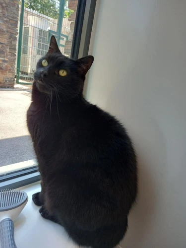 Max