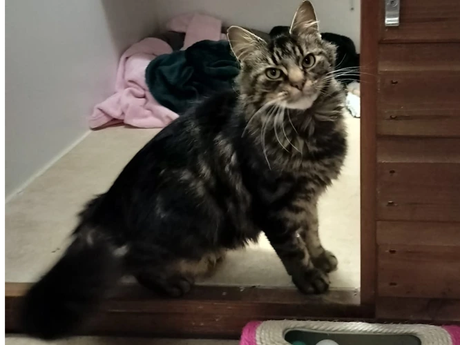 Matilda (Matty for short!)