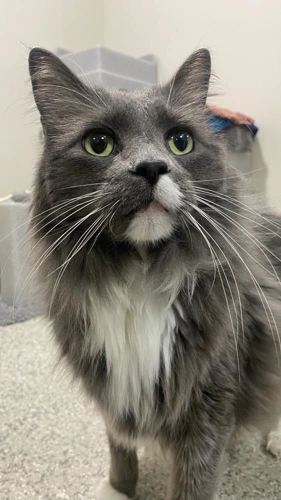Ichabod