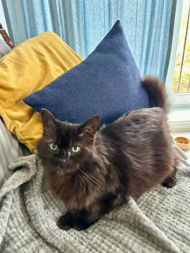 Rosanna 11 Year Old Female