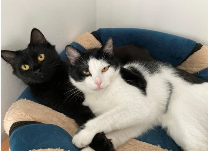 Ginny & Gemma (PAIR)