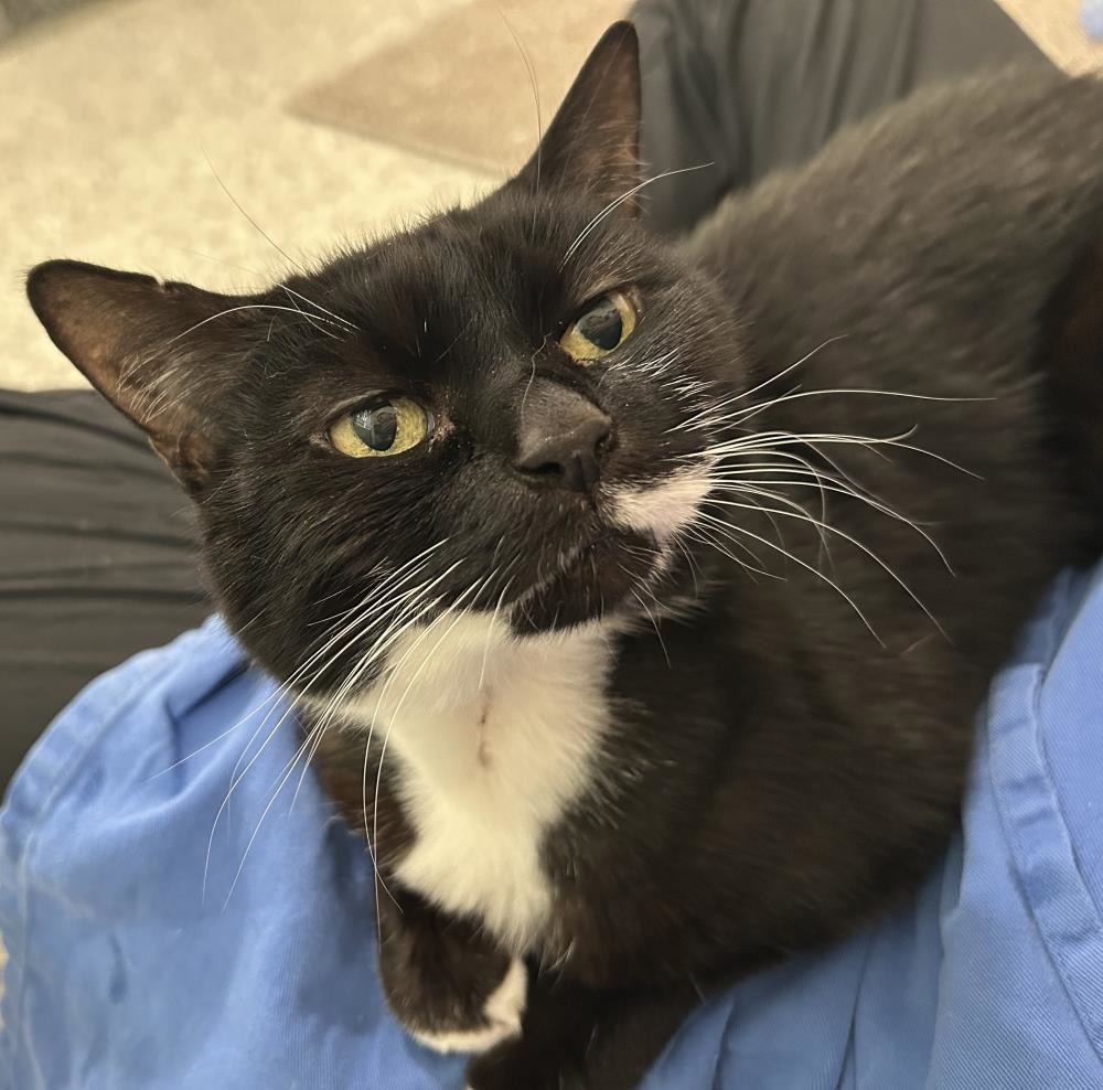 Bubbles 11 Year Old Female