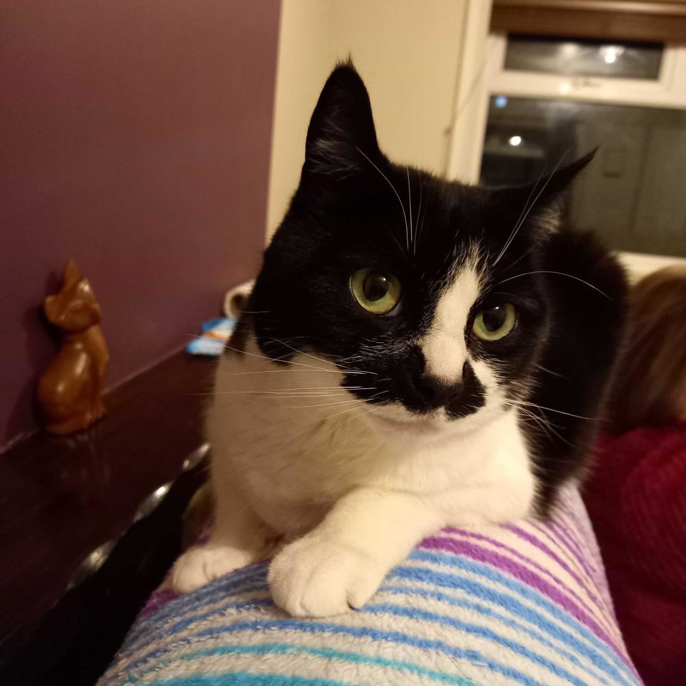 Sabrina