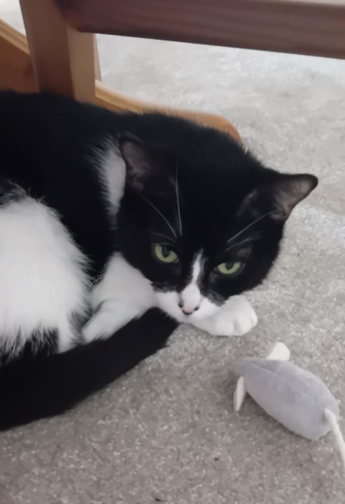 Rosie