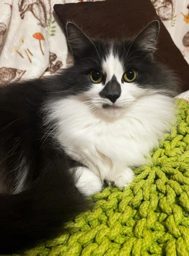 Lena