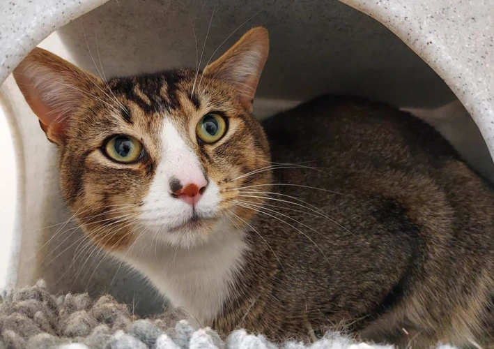 Windermere 18m old male