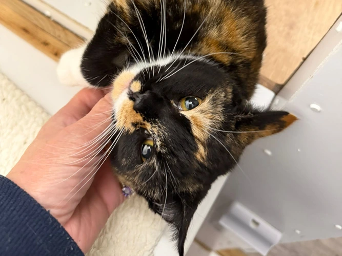 7m Winter and Crumble