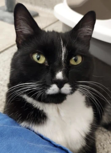 Selina 5 Year Old Female