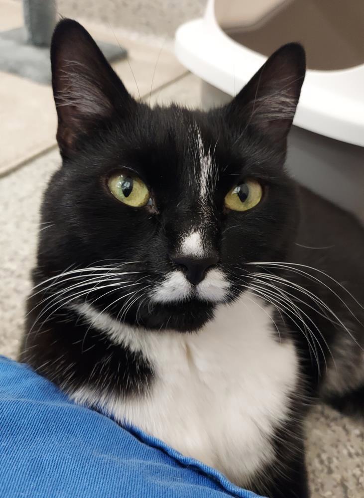 Selina 5 Year Old Female