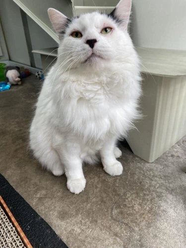 Zeus