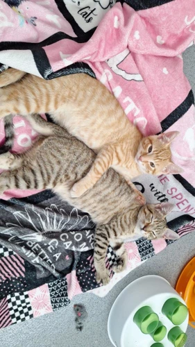 Izzie and Riley