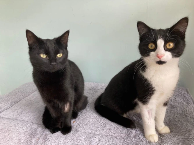 Florence and Gertrude