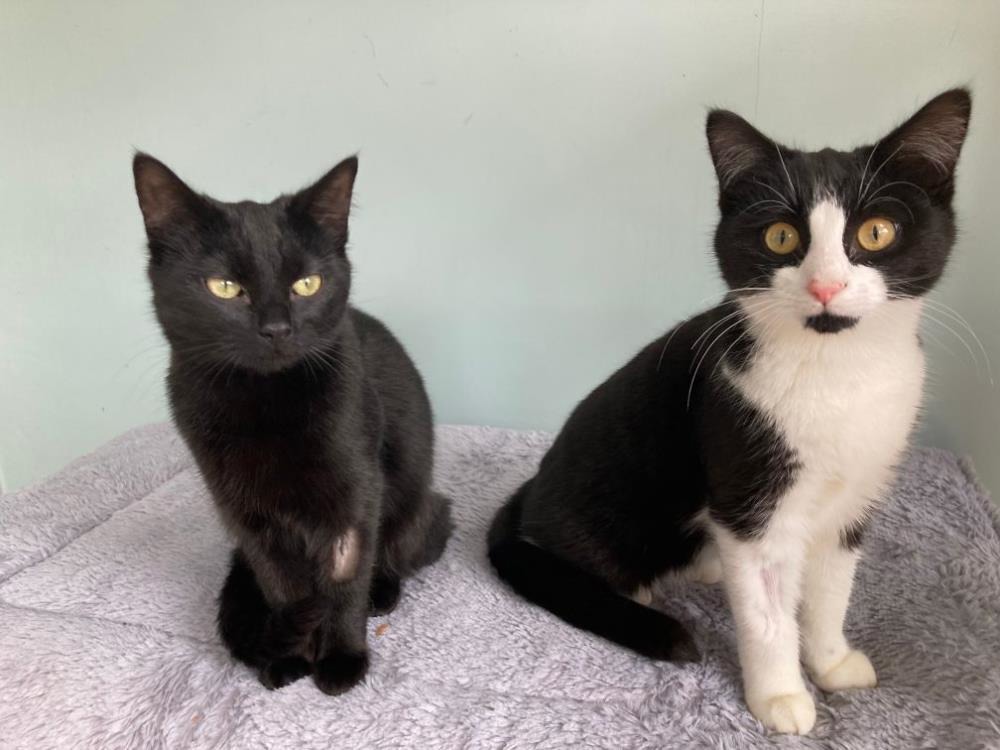 Florence and Gertrude