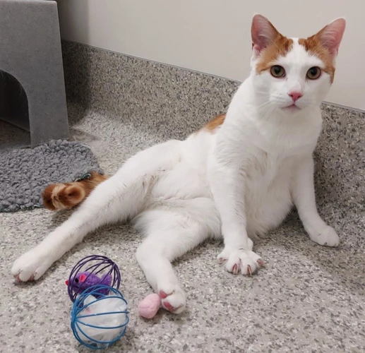 Daniel Hathaway 9 Year Old Male