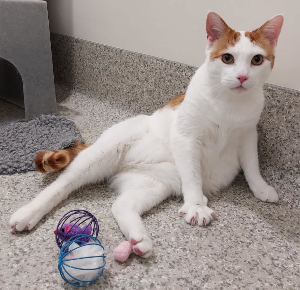 Daniel Hathaway 9 Year Old Male