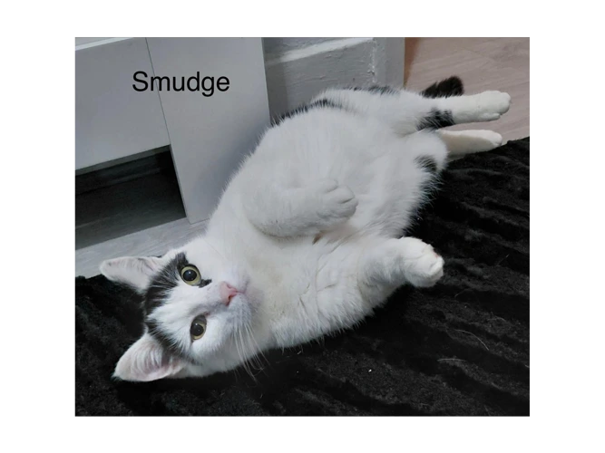 Smudge
