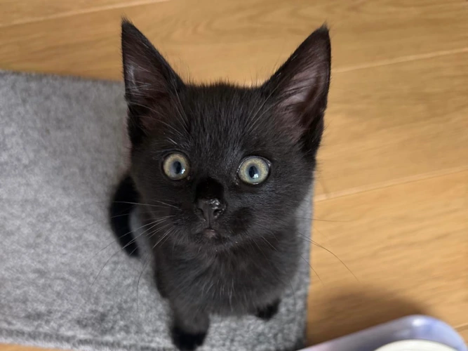 Rory