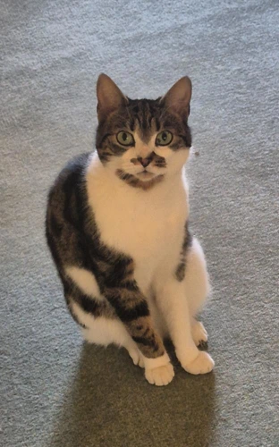 Tinker