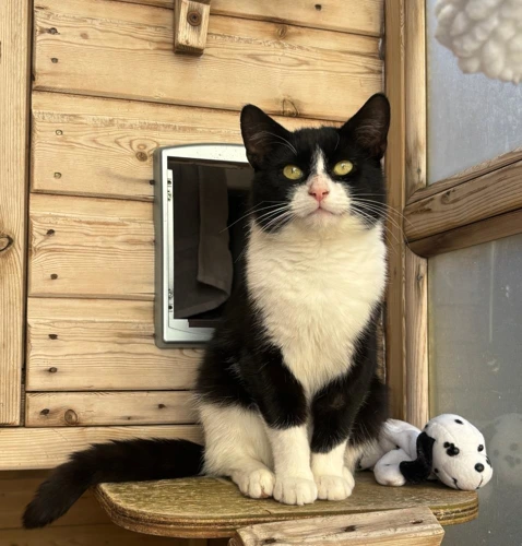 Micky