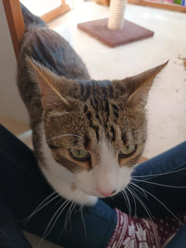 CHARLIE