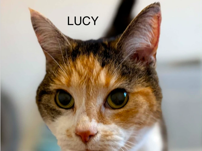 Lucy and Abby