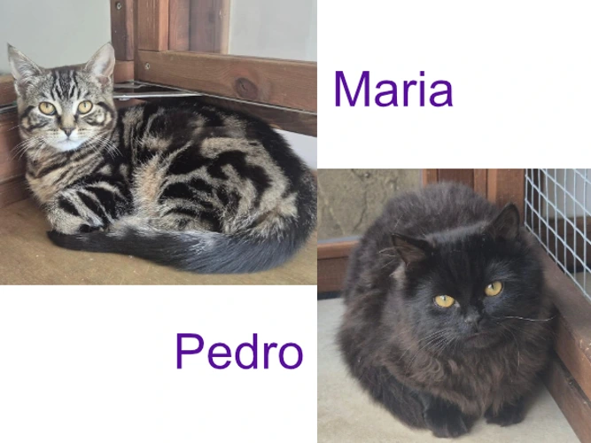 Pedro & Maria