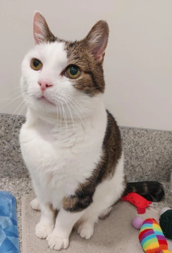 Timmy 16 Year Old Male