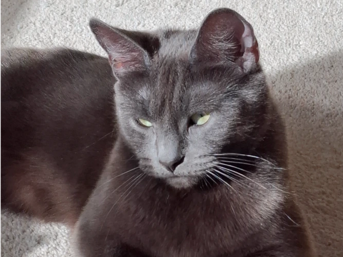 Luna