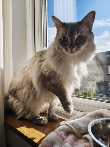 Milo and Luna