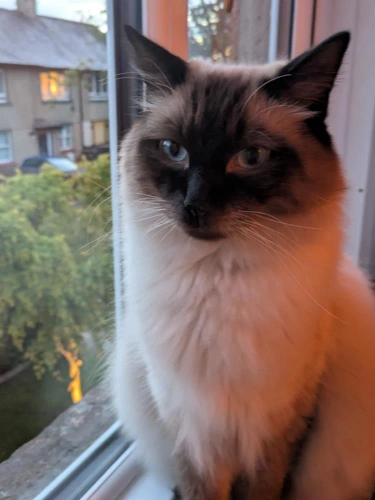 Milo and Luna