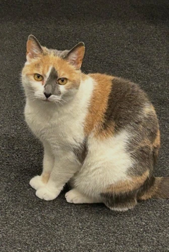 Smudge