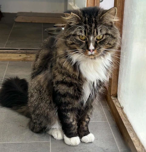 George