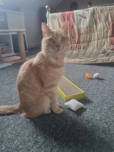 Tigger