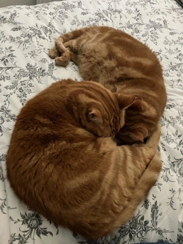 Hunter and Nacho